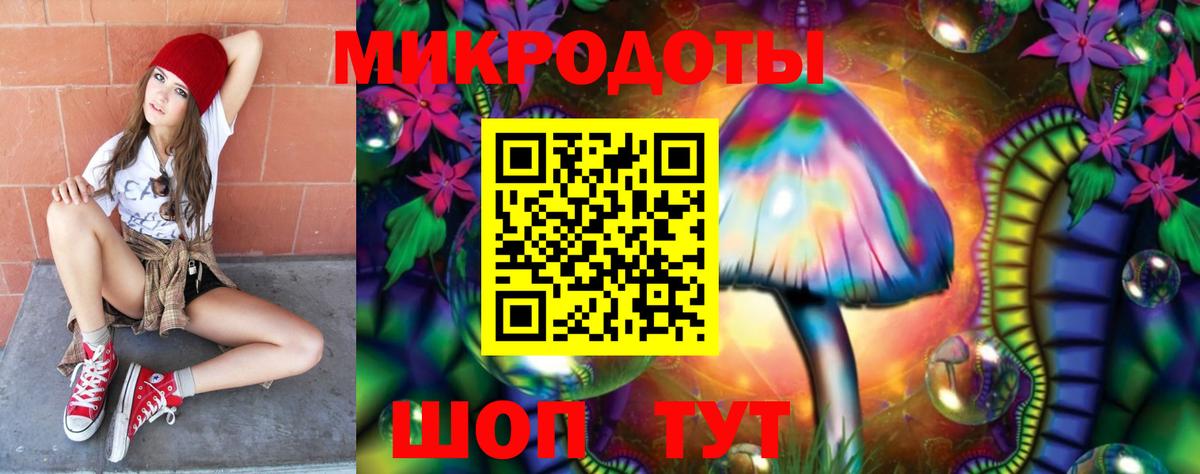 Псилоцибиновые грибы Psilocybe Барабинск